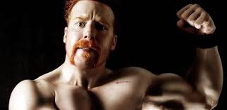 Weight (lbs) 3.6 length (inches) 36 width (inches) 30 height(inches) 0.5. Sheamus Gets A New Look Photo John Cena Tweets Lebron James The Harris Brothers Pwmania Com