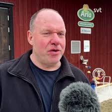 Solveigs vän Inger Stark mördades efter utekvällen: ”Kände mig lite  medskyldig”