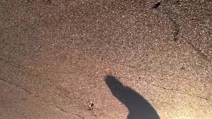 Peter Brings The Shadow To Life Ombre Rue Skate