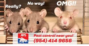 New era pest control is a full service company that has been providing commercial pest control and a variety of pest control services since 1991 in miami dade and broward county. Home Pest Control Near You