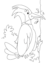 Woodpecker Coloring Pages Preschool And Kindergarten Bird Coloring Pages Coloring Pages Cool Coloring Pages