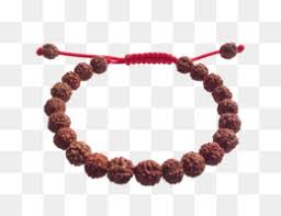 rudraksha png and rudraksha transparent clipart free download cleanpng kisspng rudraksha png and rudraksha transparent