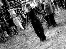 Image result for shockraver