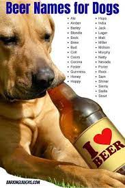 200 Food Names For Dogs And Alcohol Dog Names With Meanings Artofit