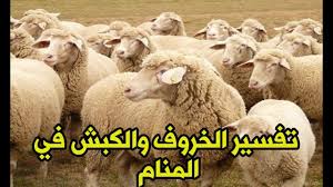 الخروف في المنام كما جاء في تفسير الأحلام لابن سيرين حلم الخروف والكبش للمتزوجة والعزباء Youtube