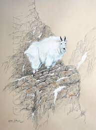 galeries des oeuvres de l artiste animalier walter arlaud dessin chevre les arts art coloriage voiture course