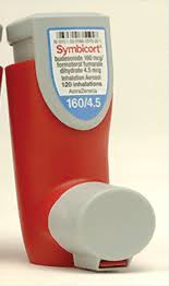 Characterization of the severe asthma phenotype by the national heart, lung, and blood institute's severe asthma research. Rescue Inhalers For Copd Red Pastel E
