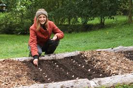 Knoblauch Pflanzen 8 Tipps Fur Eine Dicke Ernte Wurzelwerk In 2020 Knoblauch Pflanzen Pflanzen Garten Bepflanzen