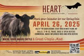 Heart of the Ozark Angus Association Sale