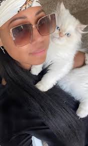 lykoi wolfcat ownership information