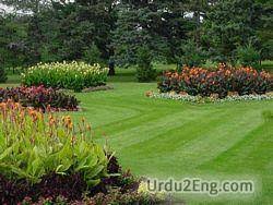 An area of ground in a garden or park th.: Lawn Urdu Meanings