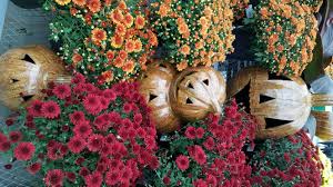 Fall Plants And Decorations At Fred Meyer Garden Center Fall Plants Garden Center Fall Wreath