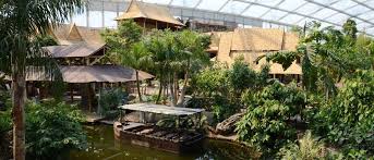 Gondwanaland Leipzig Indoor Garden Zoo Indoor Plants