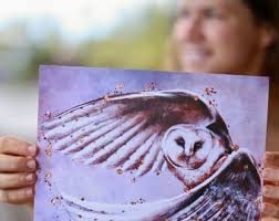 Owl Watercolor Art Decor Painted in Hawaii by Danielle Burnside Art