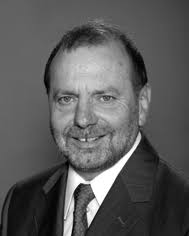 Dendritic vectors for gene transfection