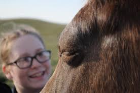 Horses deserve love from little girls