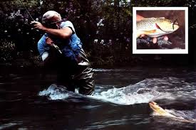 Remembering Doug Swisher: A Personal Reflection