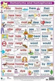 Homonyms And Homophones Wall Chart 9781770281417