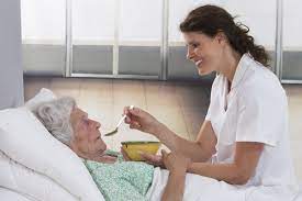 L'exposition retrace les différentes étapes de la vie de wally. Competences Aide Soignant E Comment Les Decrire Sur Votre Cv Phrase D Accroche Cv