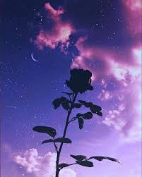 Dark purple aesthetic 1920x1080 wallpapers wallpaper cave 68 purple lean wallpapers on wallpaperplay purple wallpapers free hd download 500 hq unsplash light purple sky aesthetic phone wallpaper general 1920x1080 car purple retrowave landscape neon violet tumblr purple backgrounds 67 images. Purple Night Sky Wallpaper Aesthetic Novocom Top