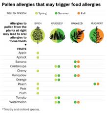 Must Read Wapo Article On Oral Allergy Syndrome