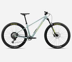 Image result for Orbea knobelii