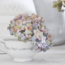She can be reached at treehouse.kelly@gmail.com. Valentine Day Made Special 3 Easy Ways To Add Romance To Your Home Hydrangea Treehouse