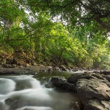 Explore Nature At Sanjay Gandhi National Park I LBB, Mumbai