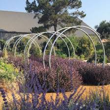 Pin On Sunset Magazine Sonoma Test Garden
