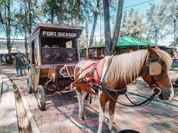 George & farrah@ponies will travel barn do an excellent job with my daughters teaching them to become better riders and teaching them better horsemanship. Port Dickson Pony Ride Home Facebook