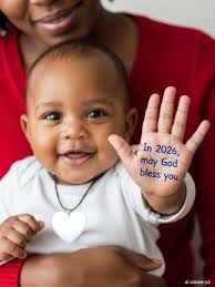 How many Cats are there..