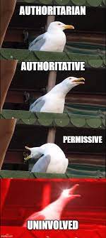 There are a lot of memes out there, but there's always room for more. Parenting Styles Imgflip