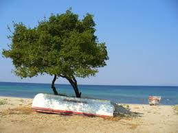 Beneficiind de plaje frumoase, munti pitoresti cu chei pline de. Trei Insule Grecesti Superbe Aproape De Romania Cele Mai Scurte Drumuri Pentru O Vacanta De Vis Toamna