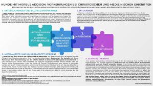 Ein vordruck für die patientenverfügung erleichtert es verbrauchern erheblich. Notfalldokumente Vordruck Nick Gicinto And Social Media Www Rawar Iskanci Yanmata A Makaranta Kalli Yadda Yake Rungumar Yan Mata Suna Rawar Batsa Hashiru Wallpaper Thank You For Having Me Down This