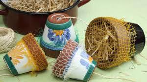 Ohrwurmhaus Bauen Mit Ohrwurmern Blattlause Bekampfen Utopia De Ohrwurm Ohrenkneifer Schadlinge Im Garten