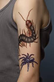 Kids who are crazy for bugs will love sporting insect tattoos! Creepy Crawly Tattoo Bugs 60 Temporary Tattoos That Teach Roehrig Artemis Ditner Jillian 9781635861969 Amazon Com Books