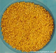 Image result for Treculia