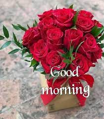 With these good morning i love you cites for her, you will at. Pin By Petra On Good Morning Good Morning Flowers Good Morning Roses Morning Images