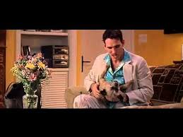 When you watch it you just know how it's gonna end, and so the focus is not on the plot but the actual happenings in the movie, and there's a lot. There S Something About Mary Official Trailer 1998 Cameron Diaz Ben Stiller Movie Hq Youtube
