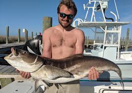 Cobia Fishing In Florida An Anglers Guide