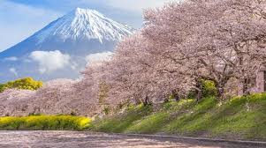 Minyo crusaders — cumbia del monte fuji: Onde Fica O Monte Fuji Dicas De Turismo Para O Japao