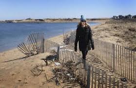 Officials Look To Fortify Plum Island Dunes Local News