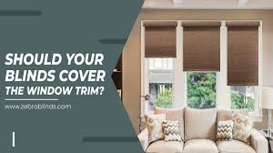 Why mold grows behind wallpaper when painted over. Should Your Blinds Cover The Window Trim