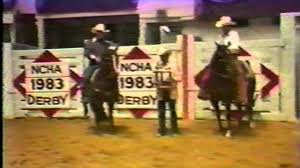 Hon är vice partiledare för vänsterpartiet och ledamot av socialförsäkringsutskottet. Auskunft Was Ist Westernreiten