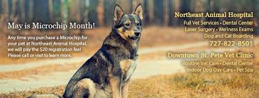 Edge animal hospital is a progressive veterinary clinic that believes advances in medicine and best practices do not mean that love gets left behind. Northeast Animal Hospital Saint Petersburg Fl Home Facebook