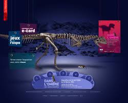 Flash Player Dinos Propose Deux Jeux Interactifs A La Recherche Des Animaux Disparus Et Le Chantier A La Rech Logiciel Educatif Site Jeux Jeu Interactif