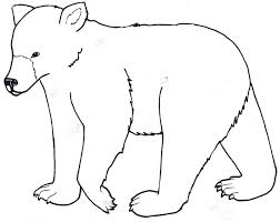 These animals are found mainly in the northern part of the globe. American Black Bear Coloring Page Coloring Home