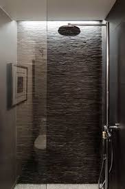Grey Standing Mosaic Tile Stone Shower Stone Accent Walls Recessed Lighting