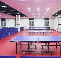 table tennis floor carpet
