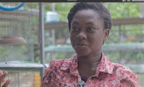 The Architect of the Rabbit Empire